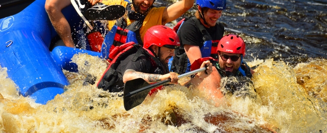 Big Turn Music Fest Silverback Colony