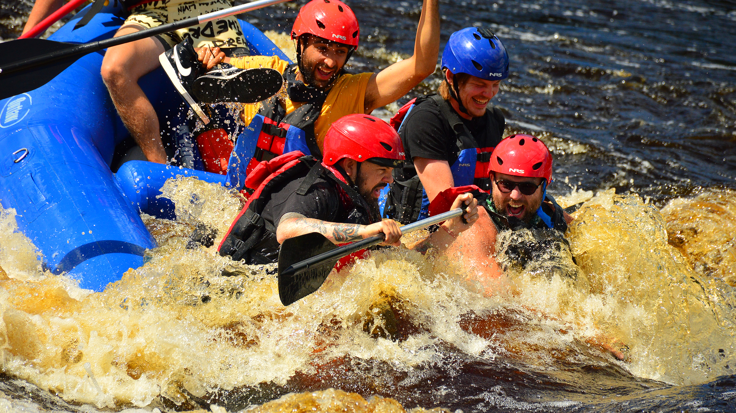 Big Turn Music Fest Silverback Colony