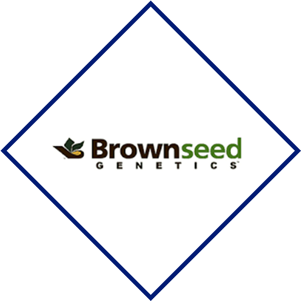 Big Turn Music Fest | Brownseed Genetics, Inc.